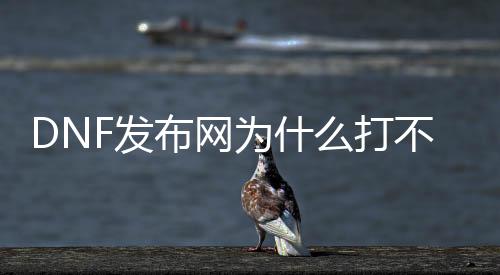 DNF发布网为什么打不动怪（DNF发布网为什么打不开游戏）