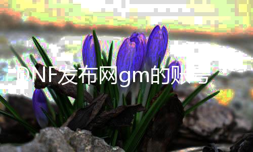 DNF发布网gm的账号密码（DNF发布网gm版）