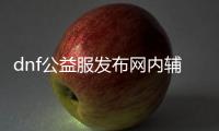 dnf公益服发布网内辅助（dnf公益服发布网内辅助的使用方法和注意事项）