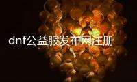 dnf公益服发布网注册（dnf公益服发布网服务器在哪买）