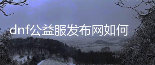 dnf公益服发布网如何开服,开设dnf公益服发布网的步骤详解