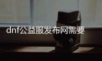 dnf公益服发布网需要什么（DNF发布网公益服发布网什么意思）